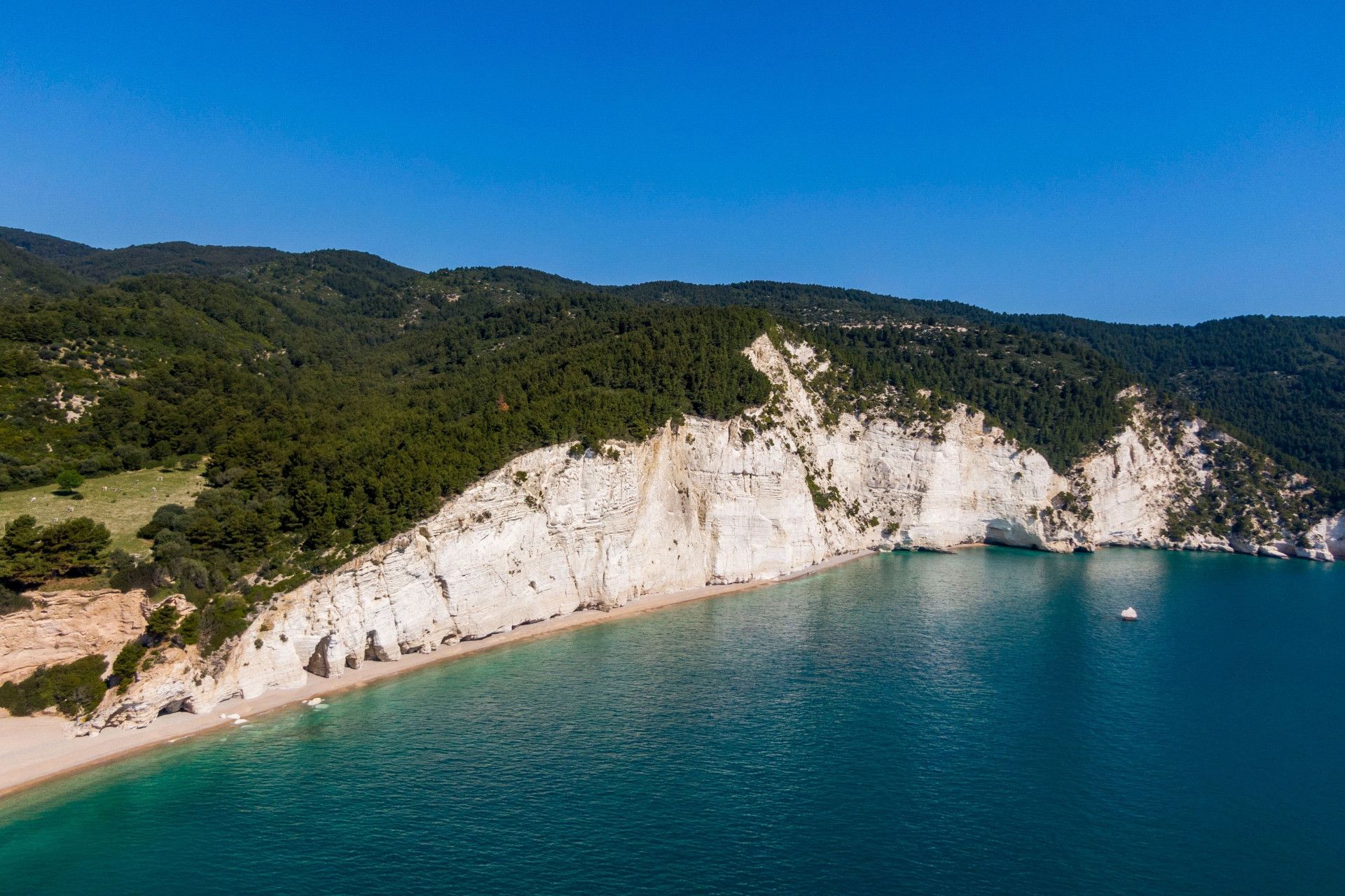 Foresta umbra spiaggia di deals vignanotica